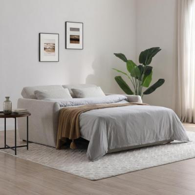 6819_furniture_Clarke Sofa Bed.jpg